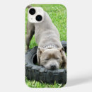 Search for chew iphone cases Animal