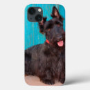 Search for aberdeen electronics Dog