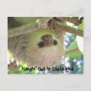 Search for limon postcards Costa rica