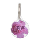 Search for classy pet supplies Dogs