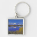 Search for stuart westmorland key rings Usa