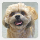 Search for smiling dog stickers Happy
