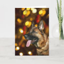 Search for gsd christmas cards Dog lover