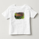 Search for rhododendron tshirts Usa