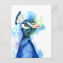 Search for elegant peacock postcards Blue