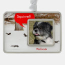 Search for squirrel christmas tree decorations Humourous