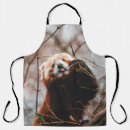 Search for koala bear aprons Nature