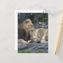 Search for mighty postcards Animal