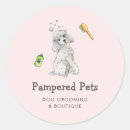 Search for dog grooming business supplies Poodle