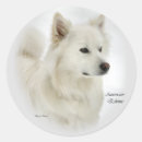 Search for american eskimo dog stickers Cute