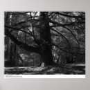 Search for uc riverside posters Santa cruz