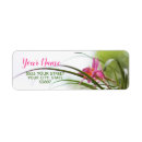 Search for green fairy return address labels For her