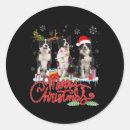 Search for border collie funny stickers Sequin christmas tree christmas