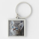 Search for cute kitten key rings Pet