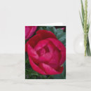 Search for peonies note cards Peony