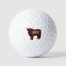 Search for cow golf balls Highland cattle