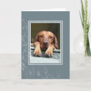 Search for hungarian cards Animal