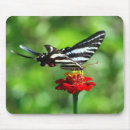 Search for swallowtail mousepads Butterfly