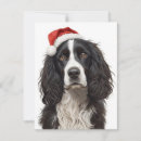 Search for cute puppy christmas cards Pet owner