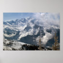 Search for conifer posters Trees