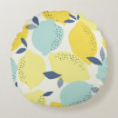 Search for cute food cushions Citrus