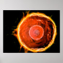 Search for microscope posters Microscopic