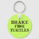 Search for box turtle accessories Turtles