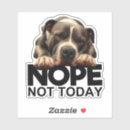 Search for white pitbull dog stickers Cute