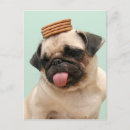 Search for dog training postcards Puppy