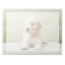 Search for golden retriever notepads Puppy
