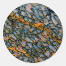 Search for dinosaur bones stickers Fossil