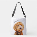 Search for labradoodles accessories Poodle