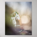 Search for snowdrop art Galanthus