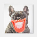 Search for getty magnets Dogs