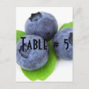 Search for guest table postcards Party