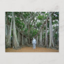 Search for banyan postcards Florida