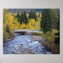 Search for provo posters Environment