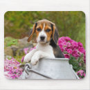 Search for animal mousepads puppy