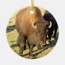 Search for bison christmas tree decorations Nature