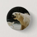 Search for polar bear badges Global warming