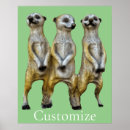Search for meerkat posters Cute