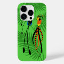 Search for bird of paradise iphone cases Illustration