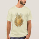 Search for mites Haeckel