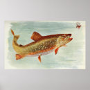 Search for brook trout art Fishing