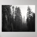 Search for forest fire posters Tree