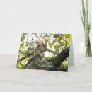 Search for gretting cards Nature