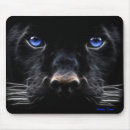 Search for jaguar mousepads Panther