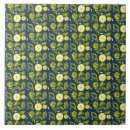 Search for citrus tiles Modern