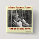 Search for foster badges Rescue