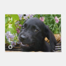 Search for black lab doormats Funny